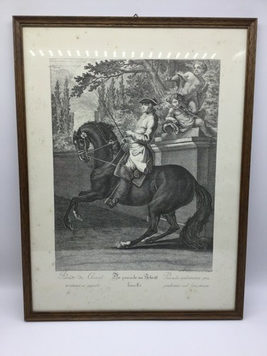 Radierung von johann - johann, elias