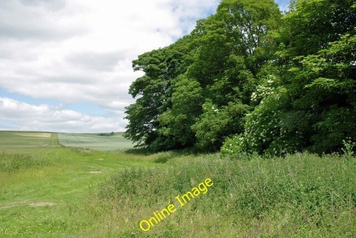 Photo 6x4 grassy area - photo,