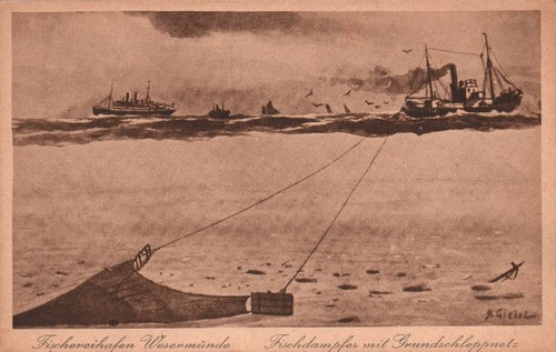 Fischereihafen wesermünde - fischereihafen,