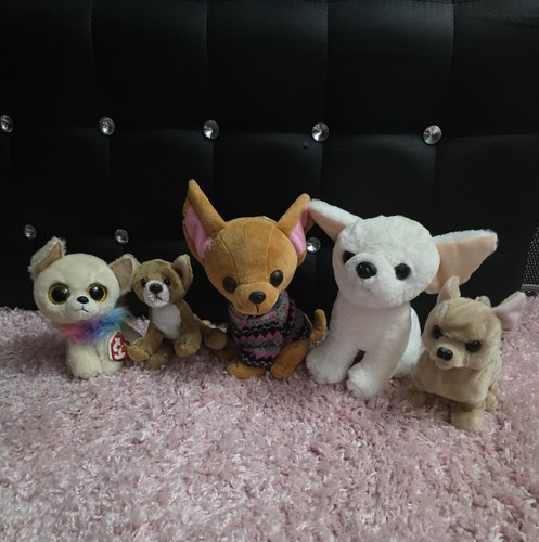 Chihuahua kuscheltiere für - chihuahua,