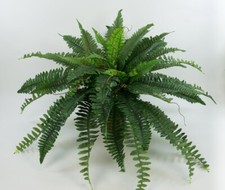 Boston Farn 80x45cm -ohne Topf- CG künstlicher Farnbusch Kunstpflanzen