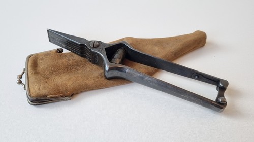 Toller alter masticateur - toller,