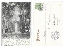 DN 040 - Gruss aus Pyrmont - Haupt-Allee, gelaufen 1904