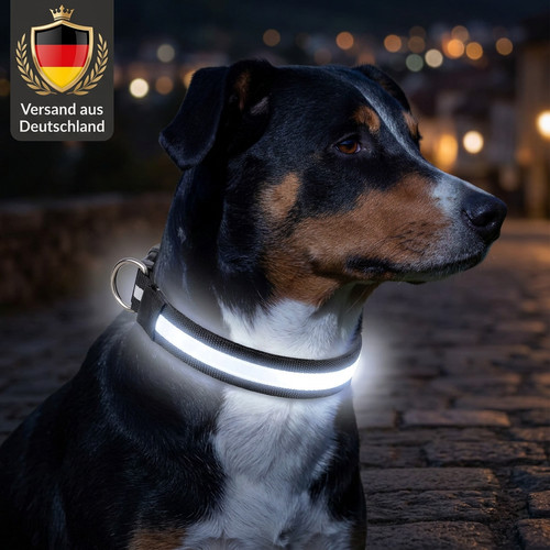Led hundehalsband schwarz - led,