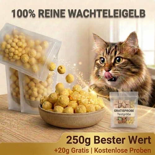 Gefriergetrocknete wachteleier - gefriergetrocknete,