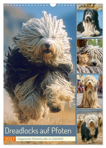 Dreadlocks auf pfoten - dreadlocks,