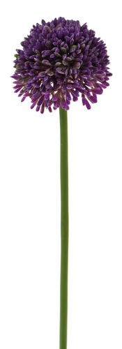 Künstlicher allium 45cm - künstlicher,