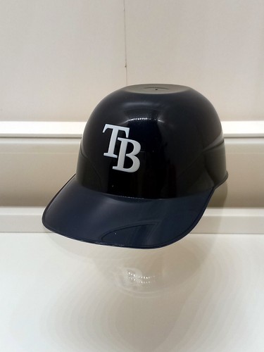 Tampa bay rays mini - bay,