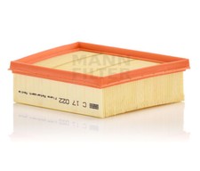 MANN Luftfilter C17022 für