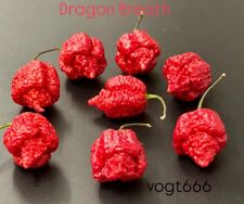 Dragon Breath Chili Samen schärfer wie Carolina Reaper XXX Hot