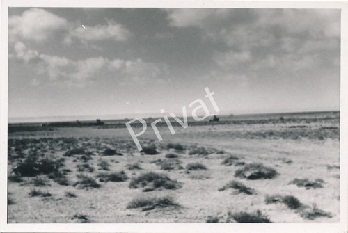 Foto wkii wehrmacht steppe - wehrmacht,