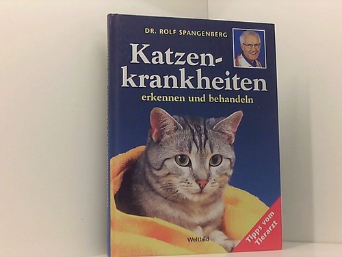 Katzenkrankheiten erkennen und