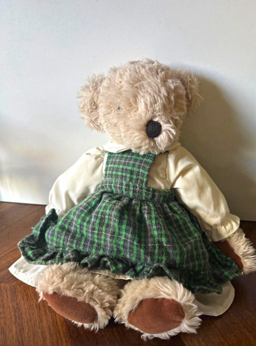Süßer teddybär mit - mit, grün