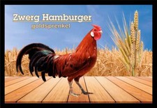 Fußmatte Schmutzfangmatte