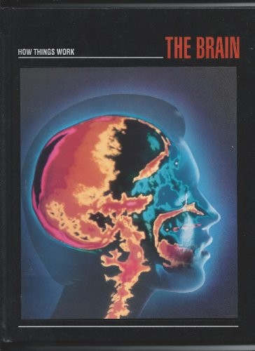 The brain - (how, things