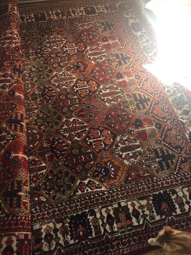 Teppich bachtiar 230x341cm - teppich,