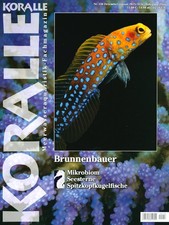 Koralle