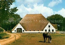 Eiderstedt Eiderstedter