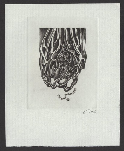 278 exlibris ex - s2)nr.278,exlibris,,