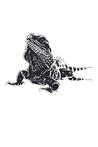 Leguan notizbuch kariertes - leguan, notizbuch: