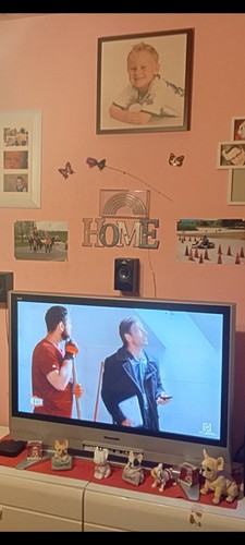 Flachbildfernseher