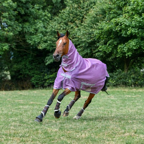 Bucas freedom fly - %, sheet