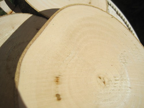 Holzscheiben astscheiben - holzscheiben,