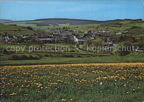 Stadtkyll panorama landschaft - panorama,
