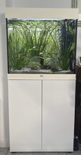 Juwel Aquarium 120 Liter: mit Fischen, Pflanzen, Filter, Heizer & Beleuchtung