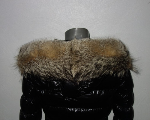 Xxl coyote pelz - xxl, kapuze