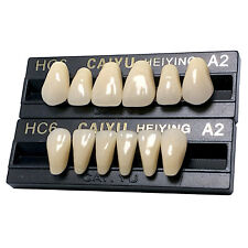 Zähne A2 CAIYU 28 Kunststoffzähne Garnituren Dental Prothesen Zahntechnik Labor 