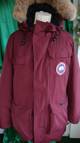 Canada goose expedition - canada,