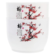  2 Pcs Plastiktöpfe Für