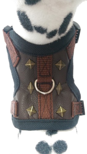 Hundegeschirr softgeschirr - hundegeschirr, s,
