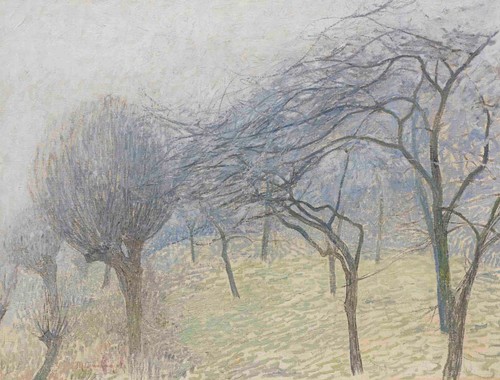 Max clarenbach bäume - clarenbach, im