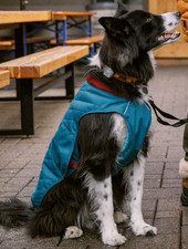 ❤️ RUFFWEAR Stumptown