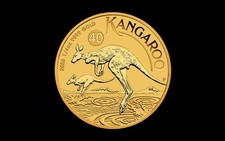 Goldmünze 1/4 Unze/oz  999.9