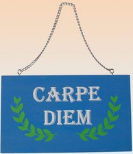 Holz Schild Carpe Diem mit