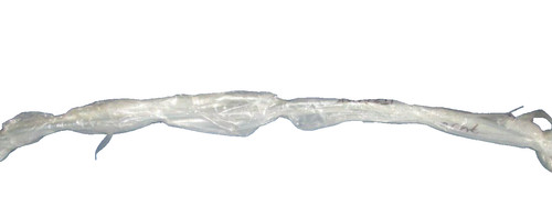 Terhi nordic bugreling - nordic,