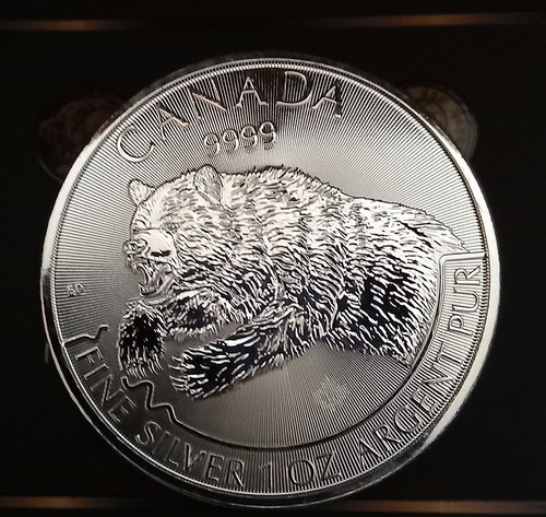 Kanada predator grizzly - 5, $