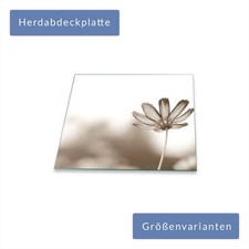 Herdabdeckplatte Abdeckung