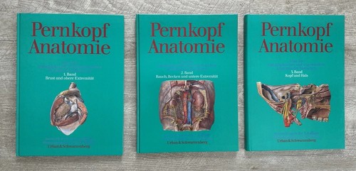 Pernkopf anatomie des menschen - anatomie,