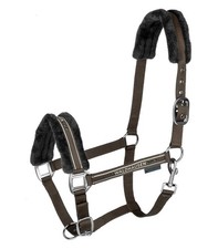 Pferdehalfter Elegant mit Glitzersteinen Waldhausen Khaki Warmblut