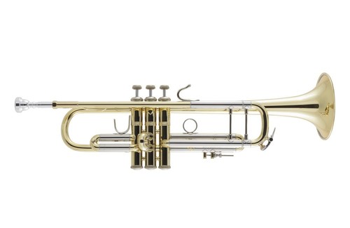 Bach 18037 stradivarius - bach,