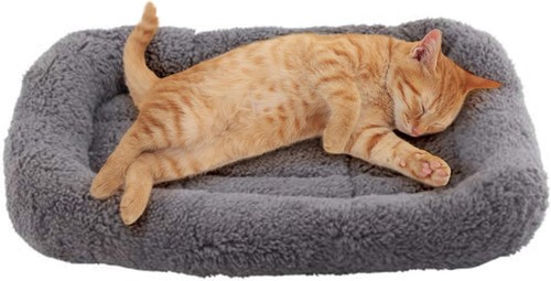 Enjoying katzenbett quadrat - enjoying, 38