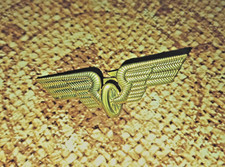 1 altes Flügelrad für