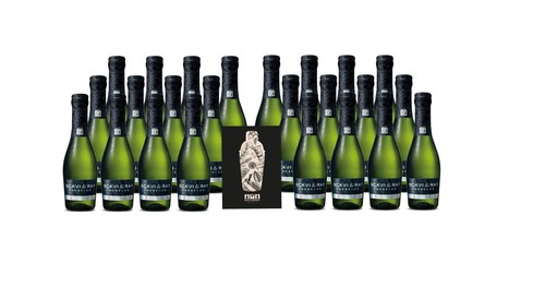 Scavi ray 24er set - ray,