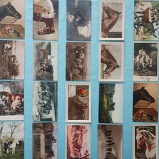 Pferde Esel Tiere - Restposten