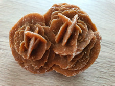 Stein Edelstein Korallen in