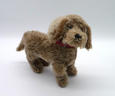 Steiff Raudi Rauhaardackel